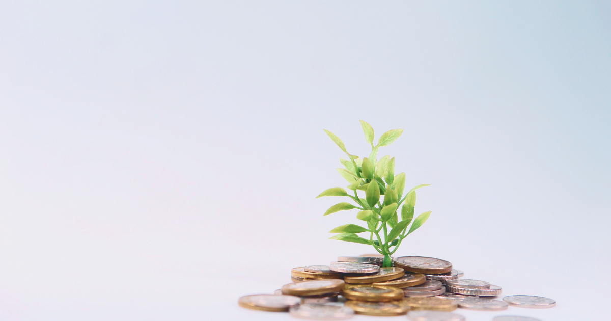 Photograph of a pile of gold coins with a small green leafy plant growing out of it to illustrate the growth Incentive Stock Options can allow for.
